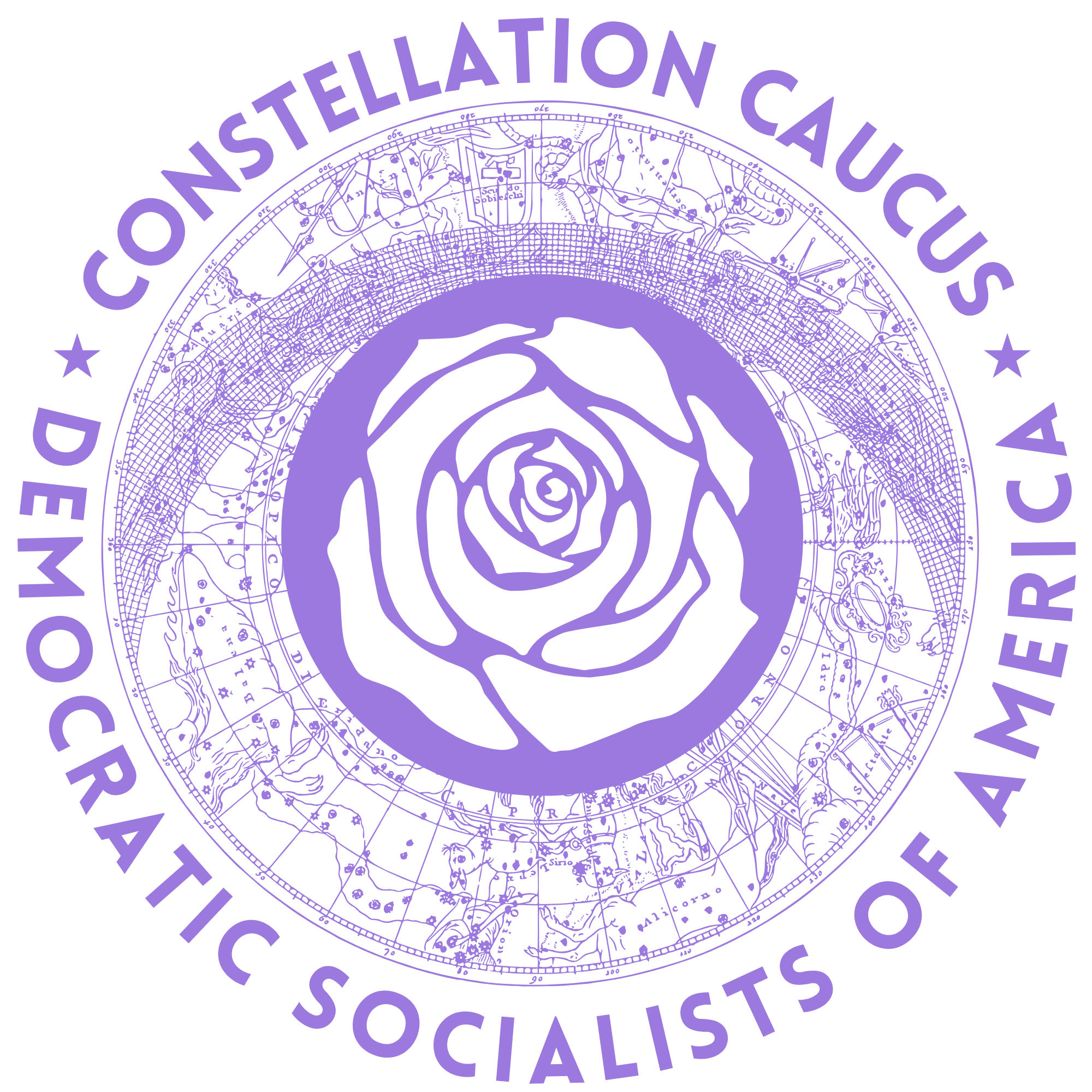 DSA Constellation Caucus